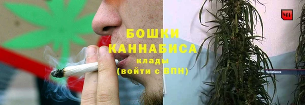 ALPHA PVP Елизово