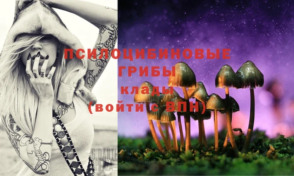 бошки Елабуга