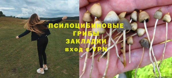 бошки Елабуга