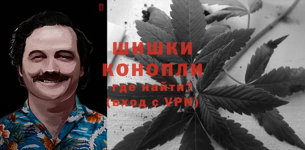 Альфа ПВП Дмитриев