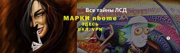 бошки Елабуга
