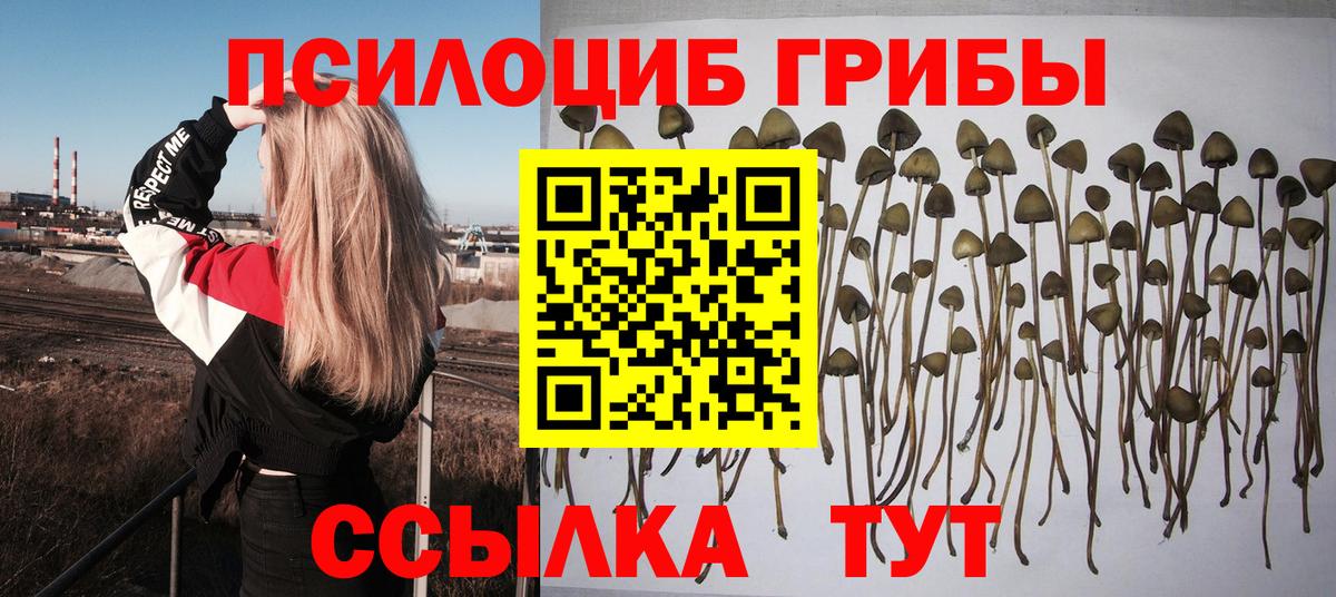 ТГК  ГАШ  МЕТАМФЕТАМИН  Вход с VPN  NBOMe  Канабис  Меф   Домодедово  Гашиш 
